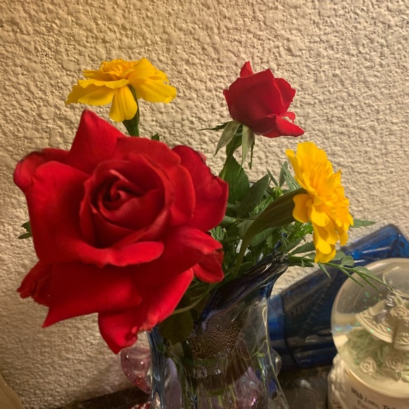 PRAISE THE MIGHTY KING 👑 - Picture 4 of 12